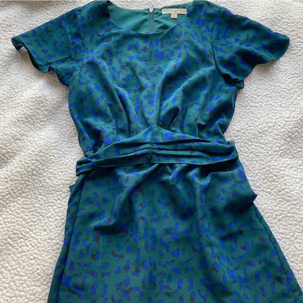 Lark & Ro Green Paintbrush Stroke Midi Dress Women’s Size Small